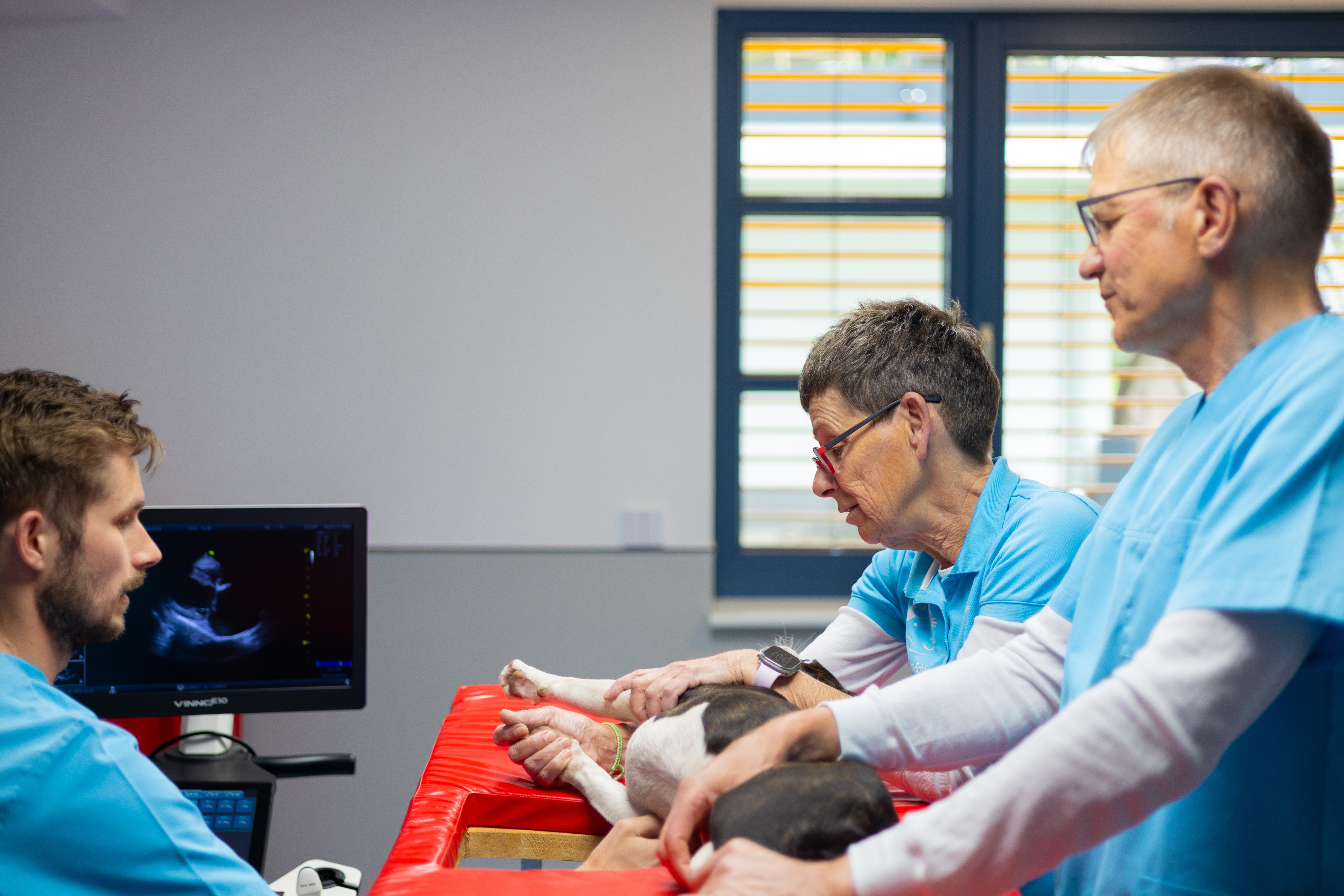In einer Tierarztpraxis untersuchen drei Tierärzte einen Hund auf einem roten Behandlungstisch.