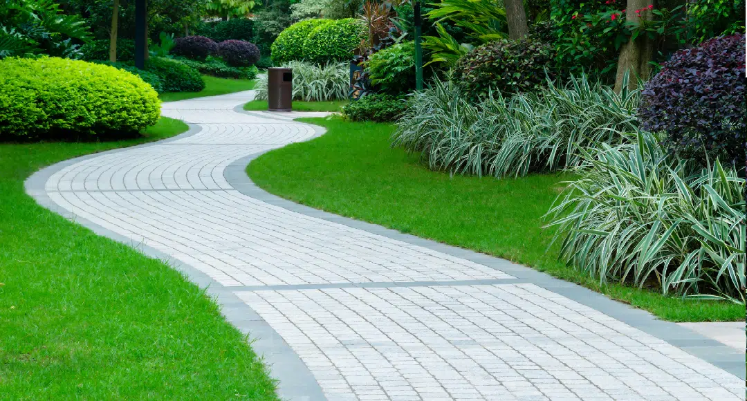 franchise big smash burger