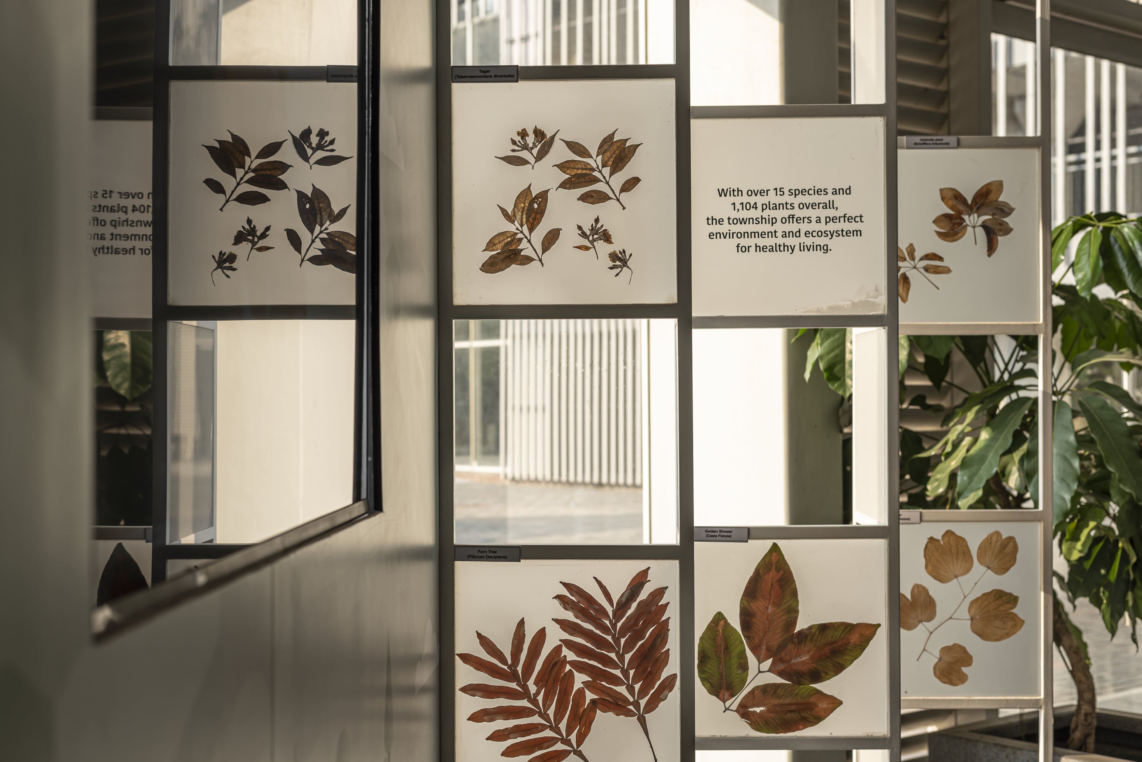 Cyril Amarchand Mangaldas