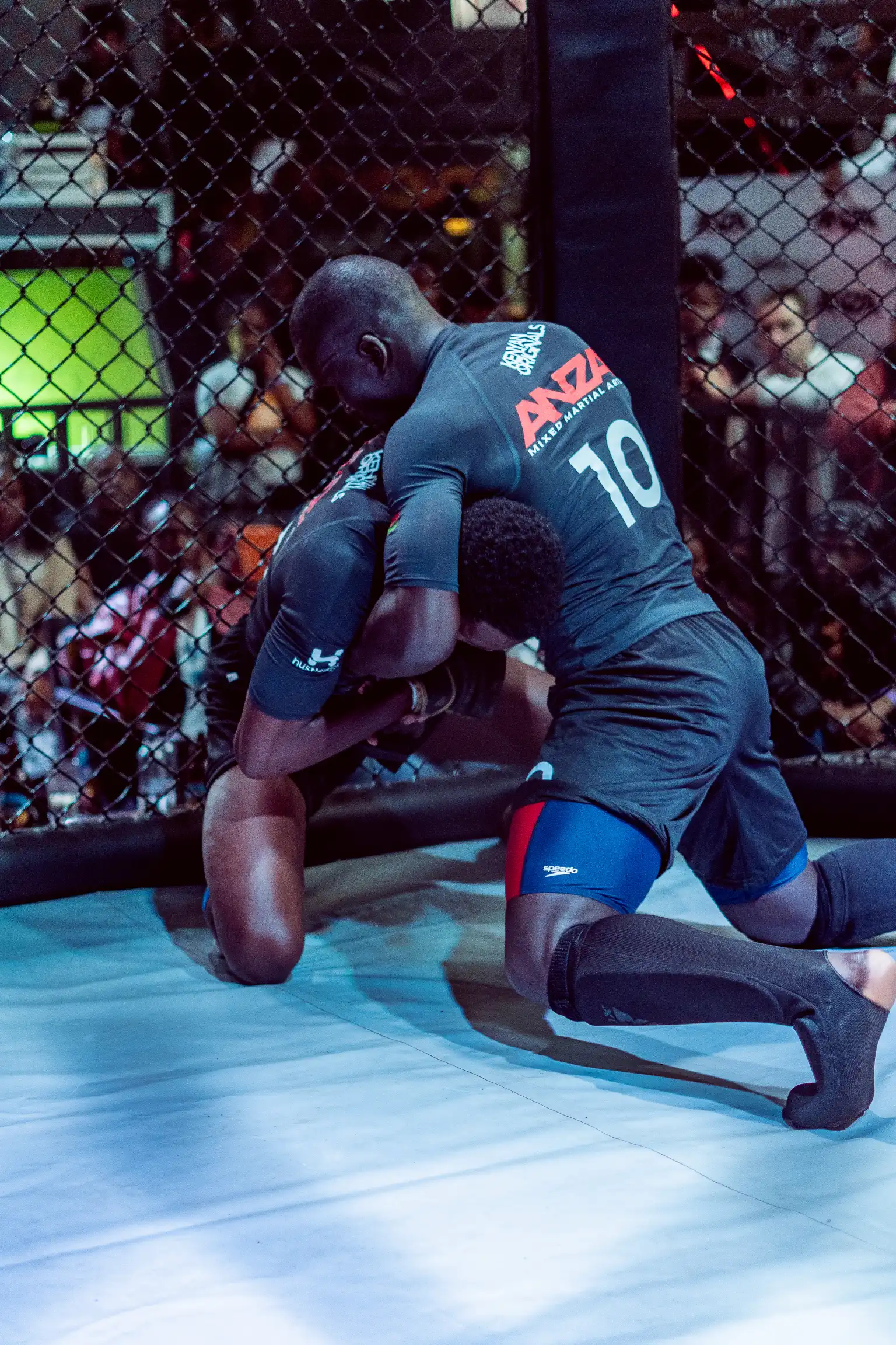 ANZA MMA Fight Night — The Alchemist