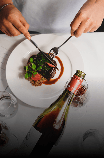 Close-up of a dark green leaf showing its textured surface and central vein against a muted background.