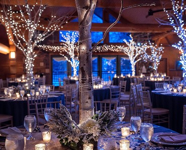 Elegant event space with illuminated trees, twinkling lights, and stylish table settings under a softly lit ambiance.