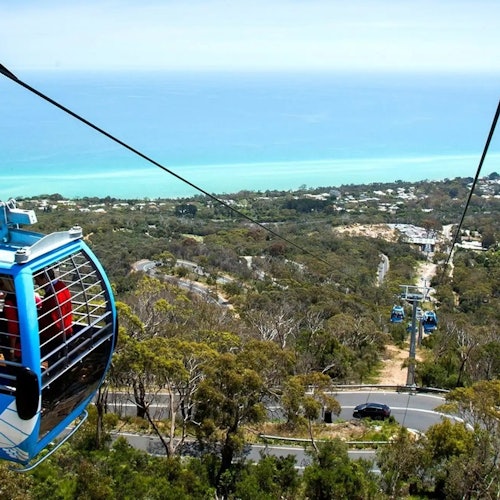 Blue cable cars with passengers travel over a scenic hillside, overlooking trees, winding roads, and a vast ocean view in the background.