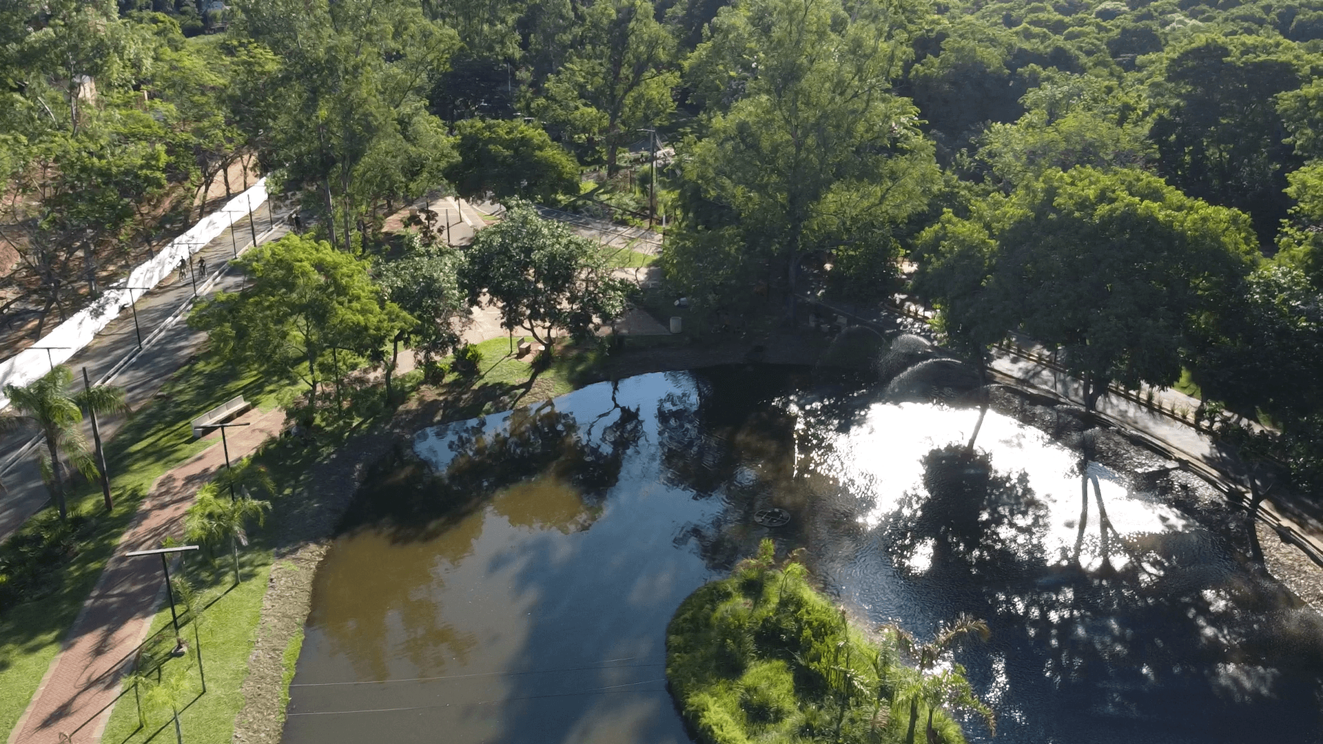 Executive Search Image