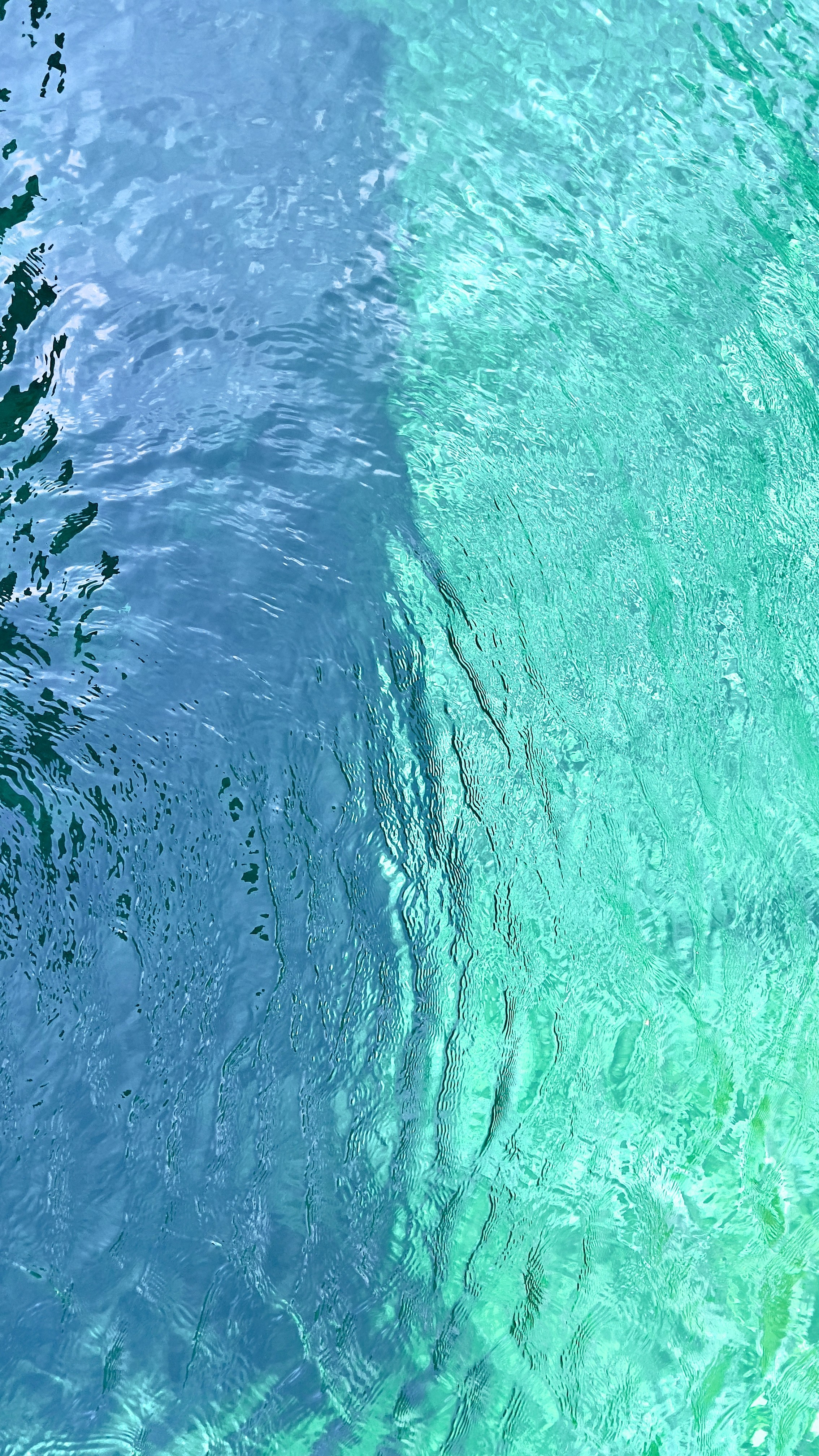 Michael Carter profile with a dynamic light