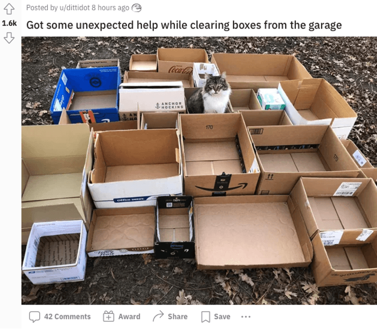 Reddit Post Example