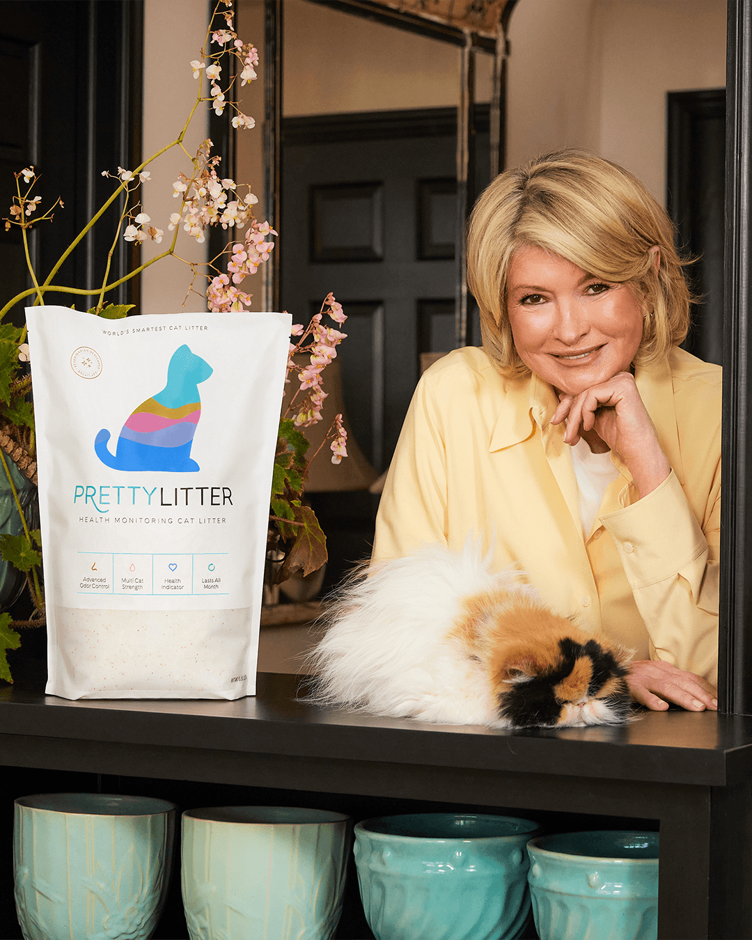 PrettyLitter art direction overview showing campaign imagery from the Martha Stewart partnership
