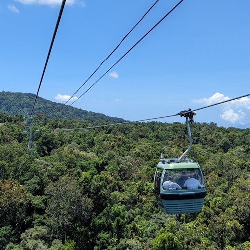 Return Skyrail Rainforest Cableway Inbound