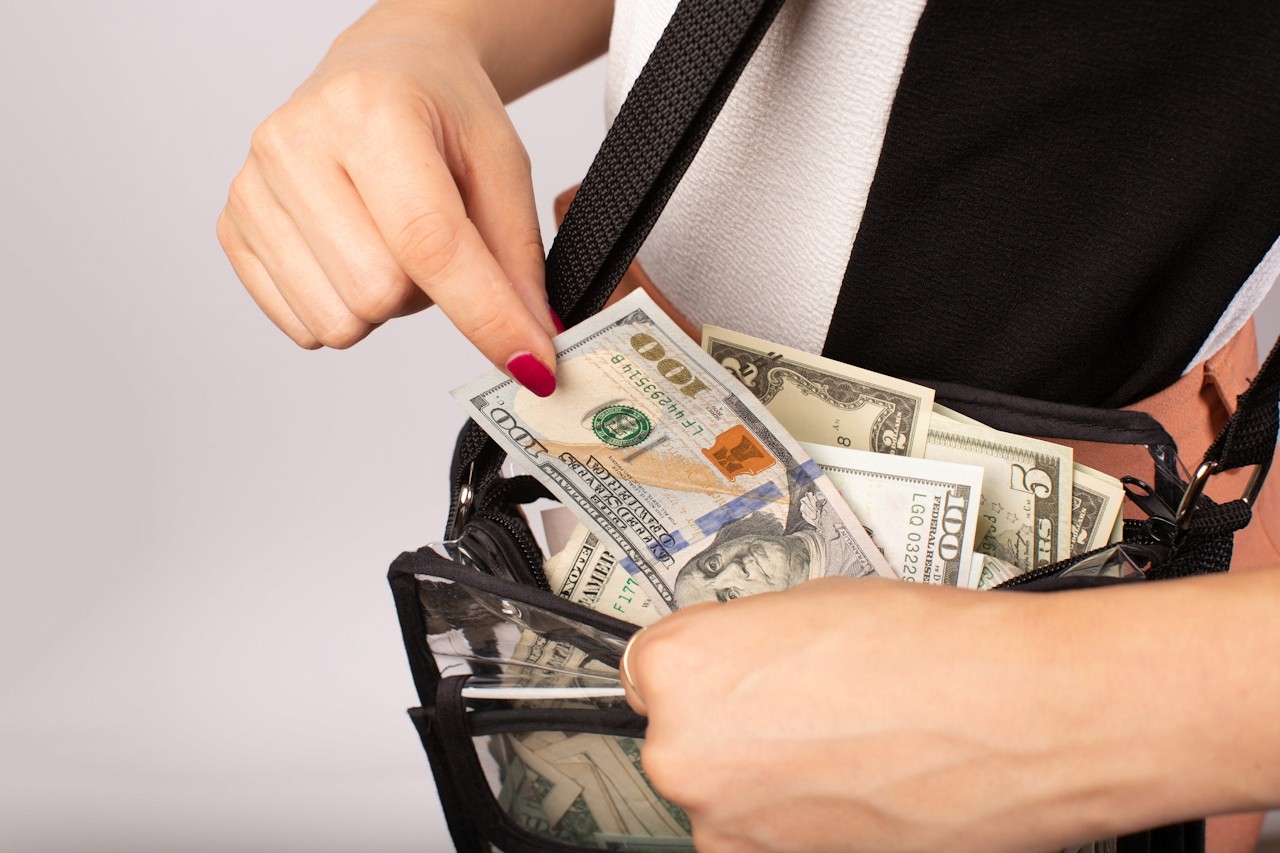 Dollar Bills in Side Purse
