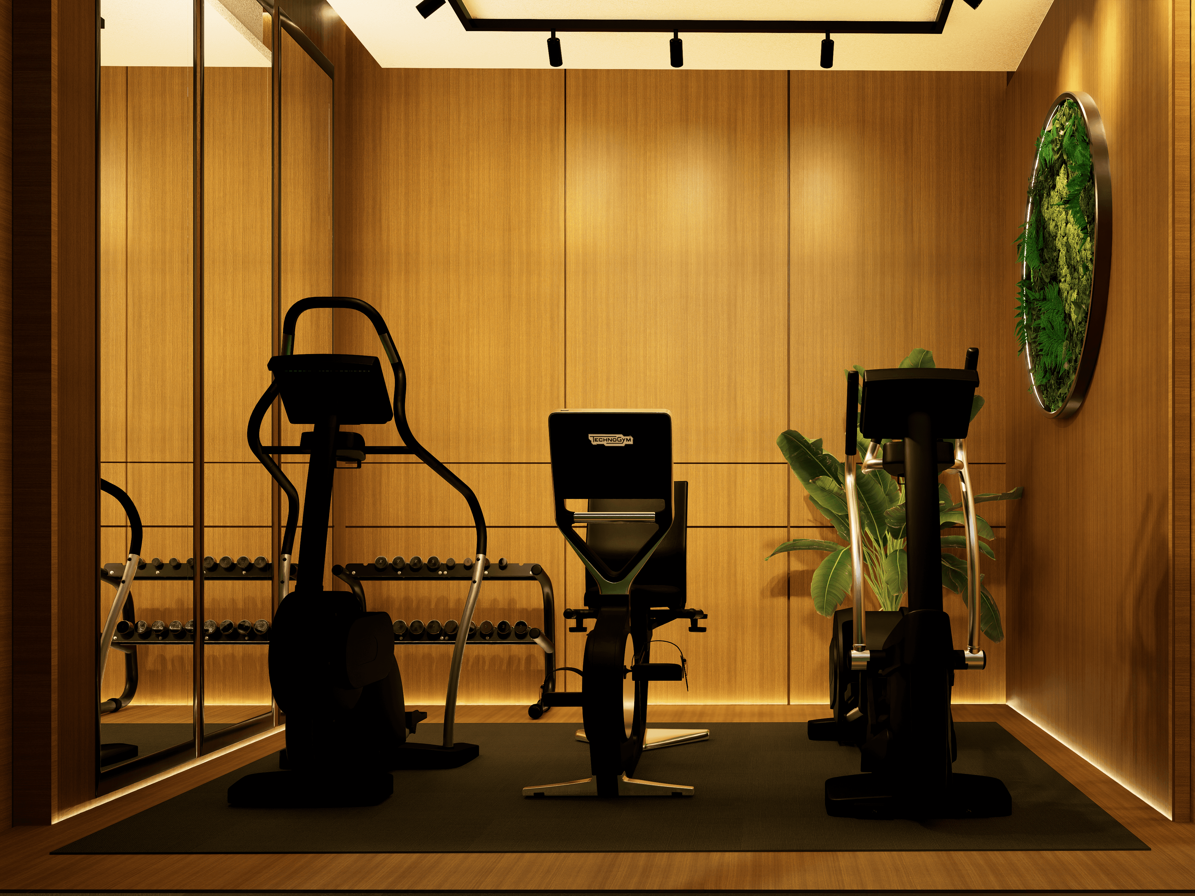 inhouse private gym in merida