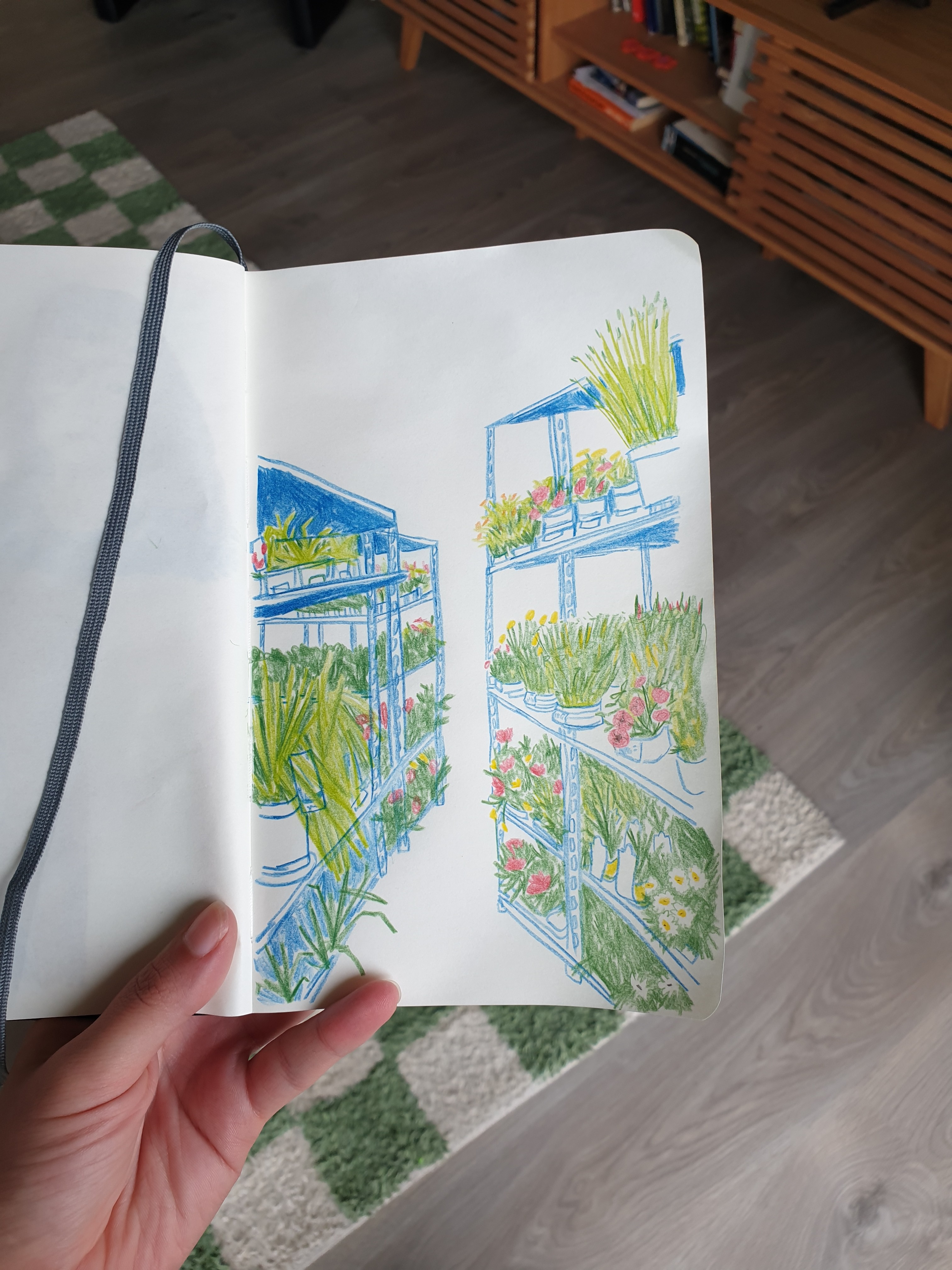 Open notebook with a drawing of some shelves with plants