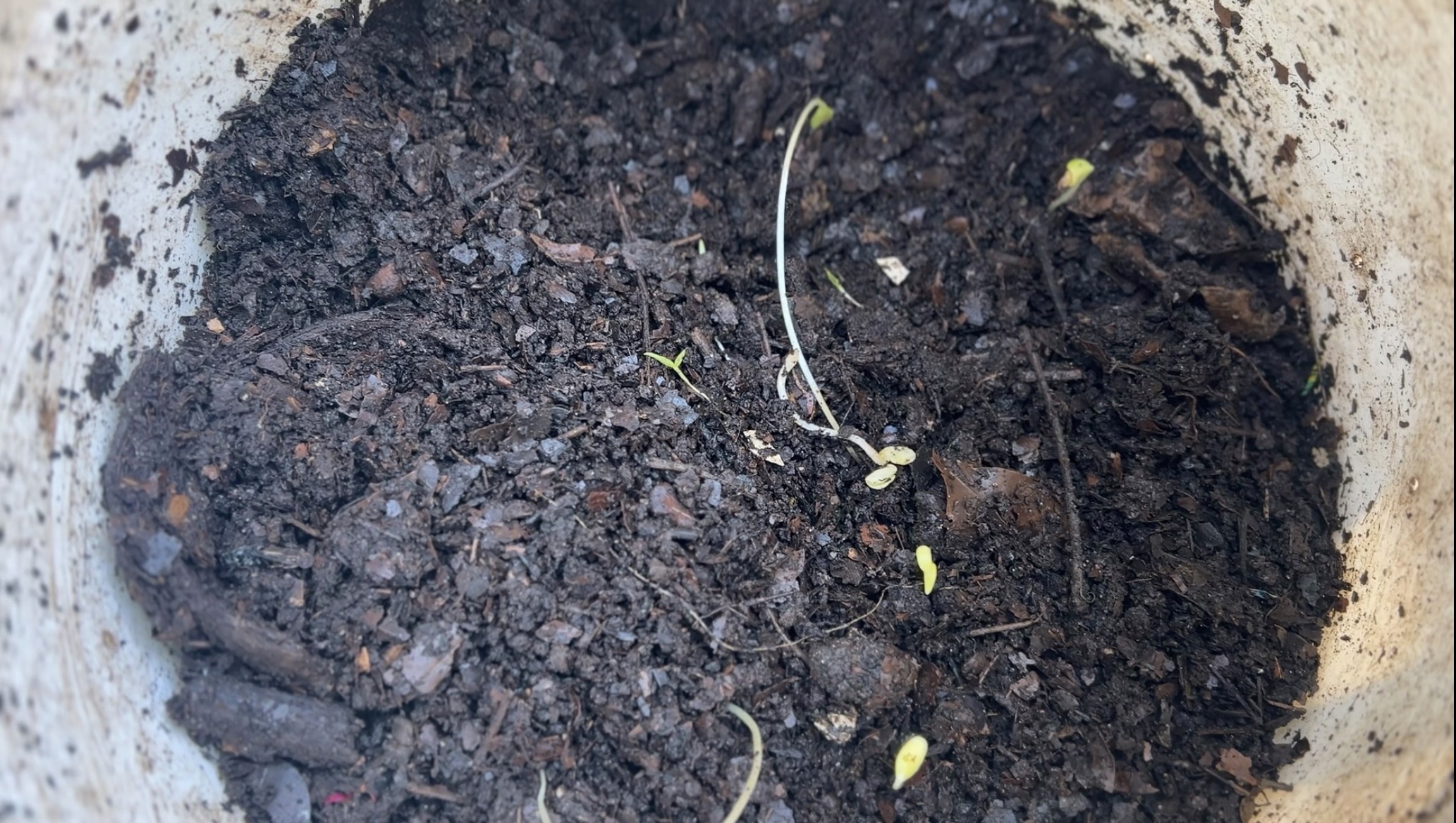 SAFELY BACK TO EARTH