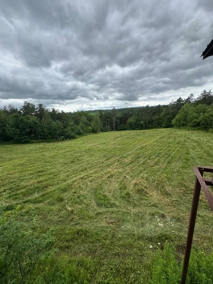 Freshly brush hogged field in Onondaga County, NY