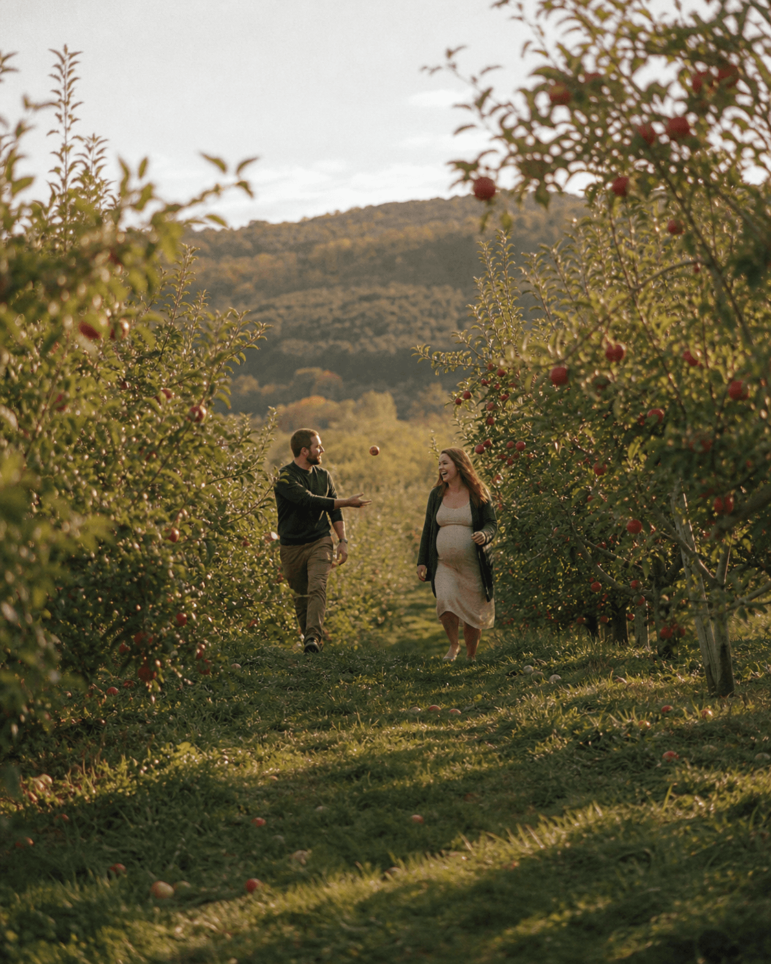 Couple walking through an apple orchard at golden hour
