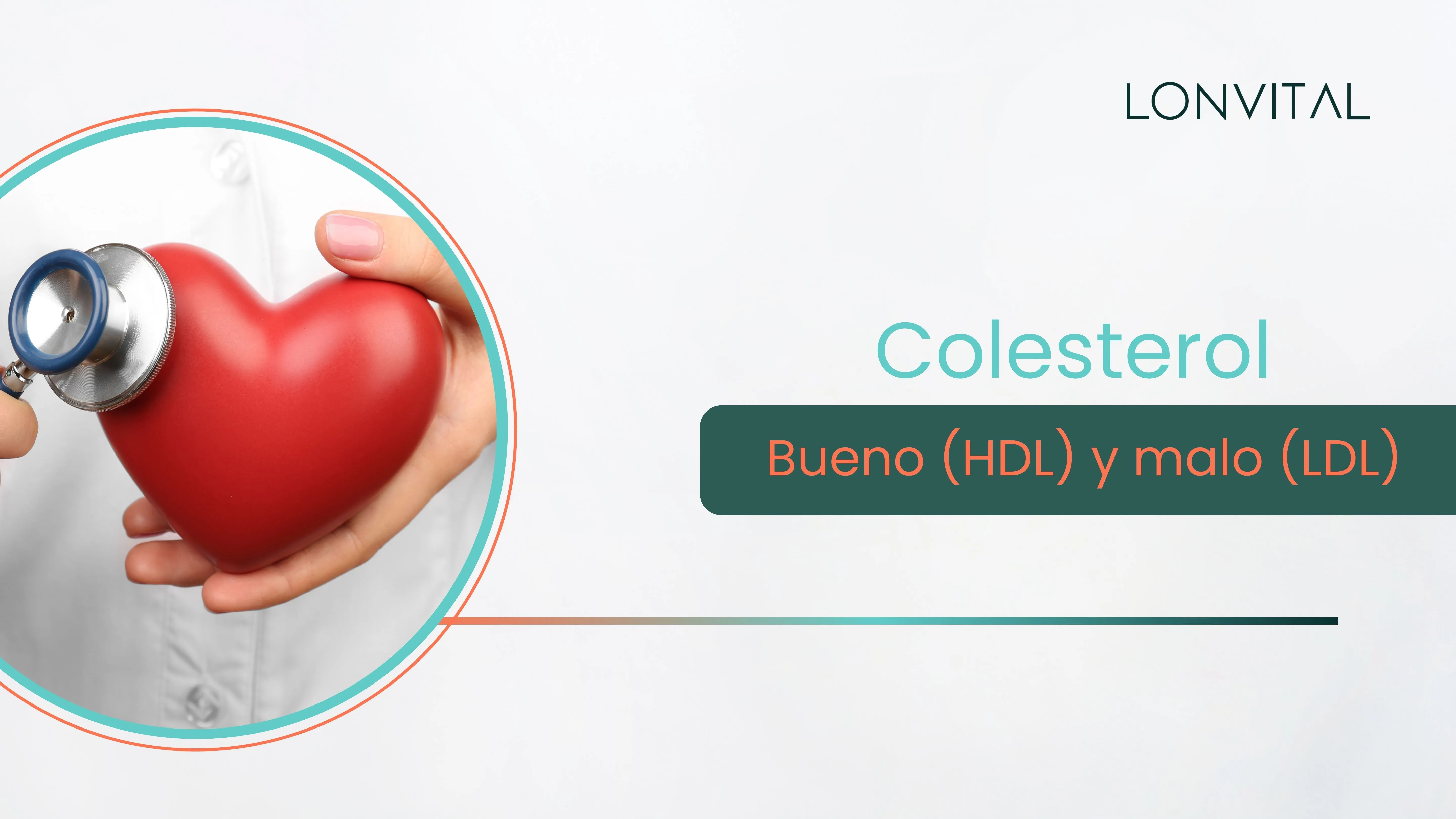 Qué es el colesterol bueno (HDL) y malo (LDL): factores que influyen y mitos comunes