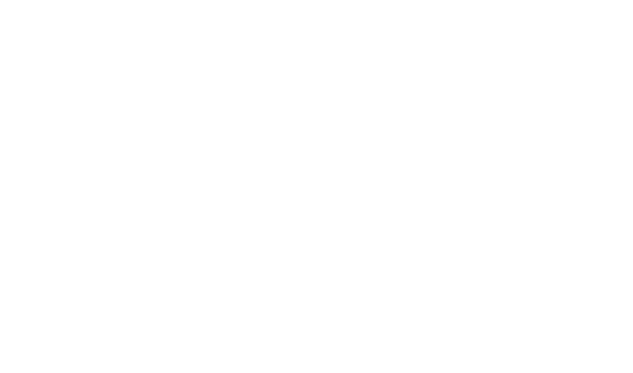Senior Life Insurance Company logo