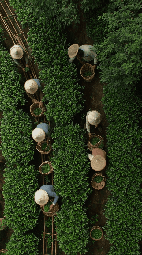 abstract flowing object