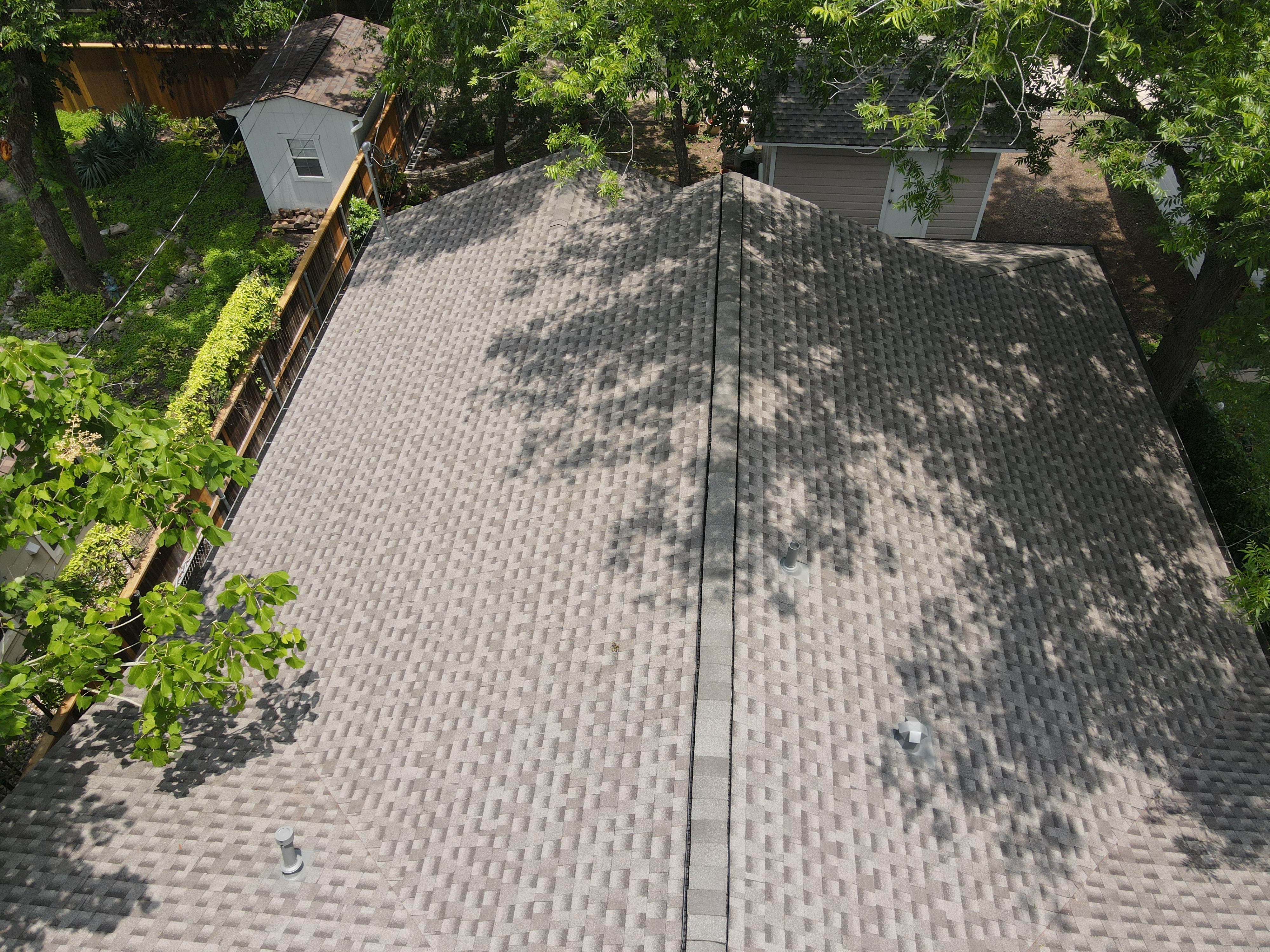 Architectural shingle roof beneath trees, showing sunlight and shade across the roof surface; manufacturer not verified.