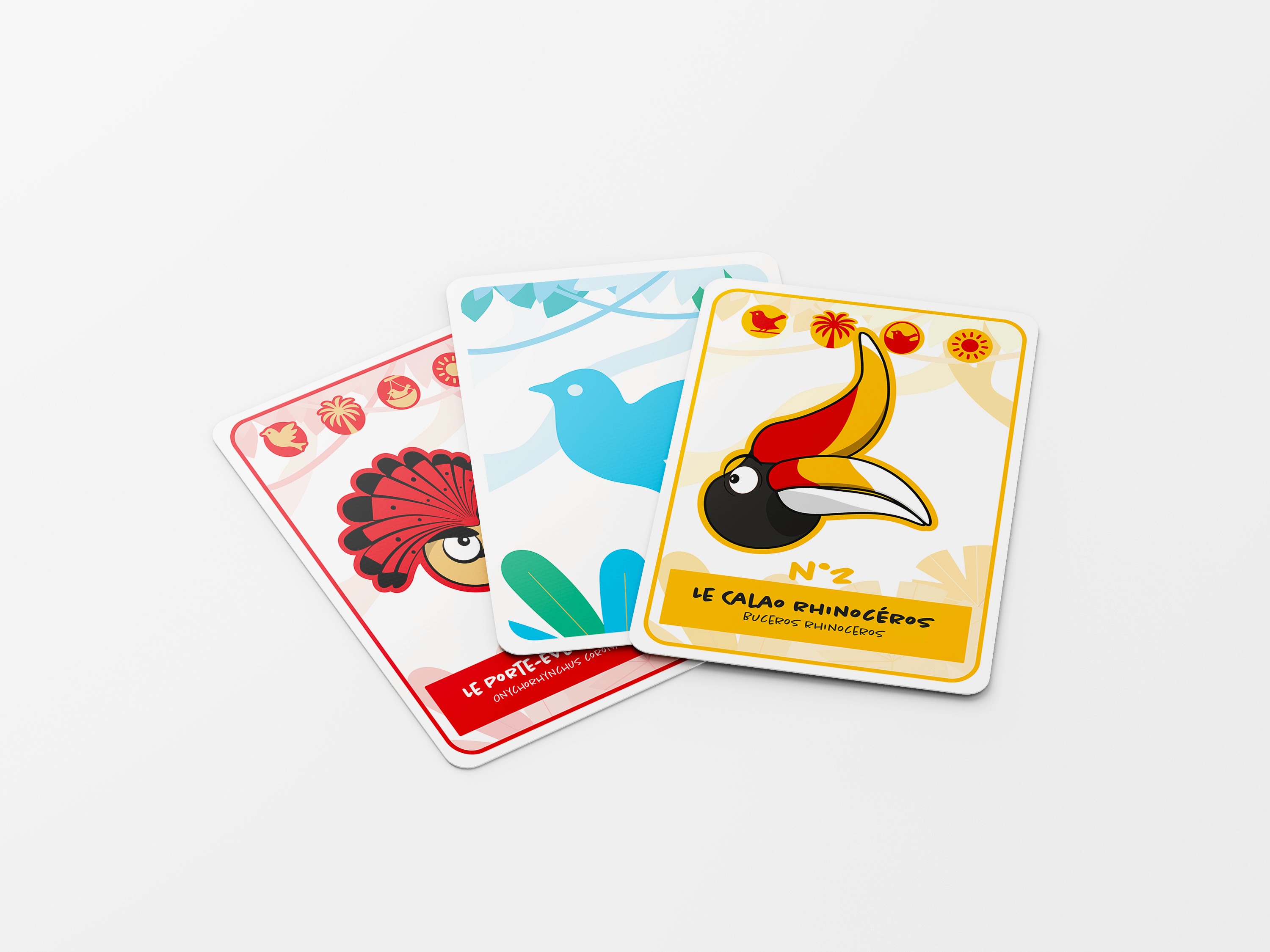 Header Carte ornithologie