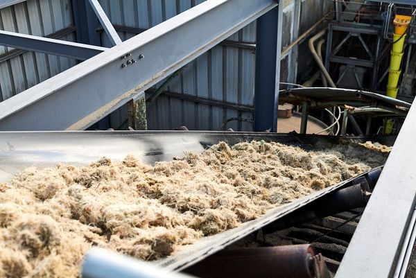 Signature visuelle David Dijoux : photographie de mariage artistique et intemporelle au 974