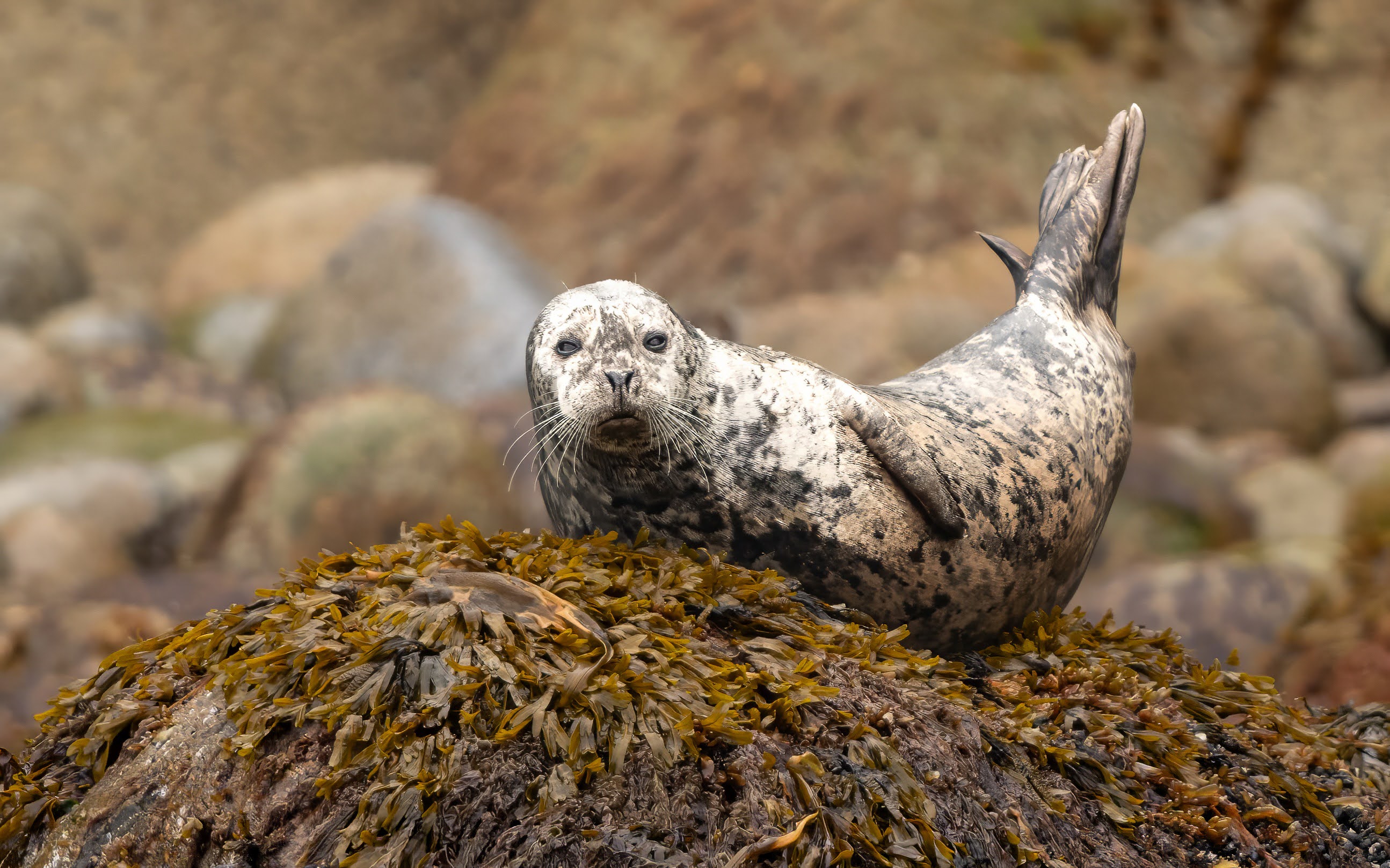 Photo of Irene in a neon scene