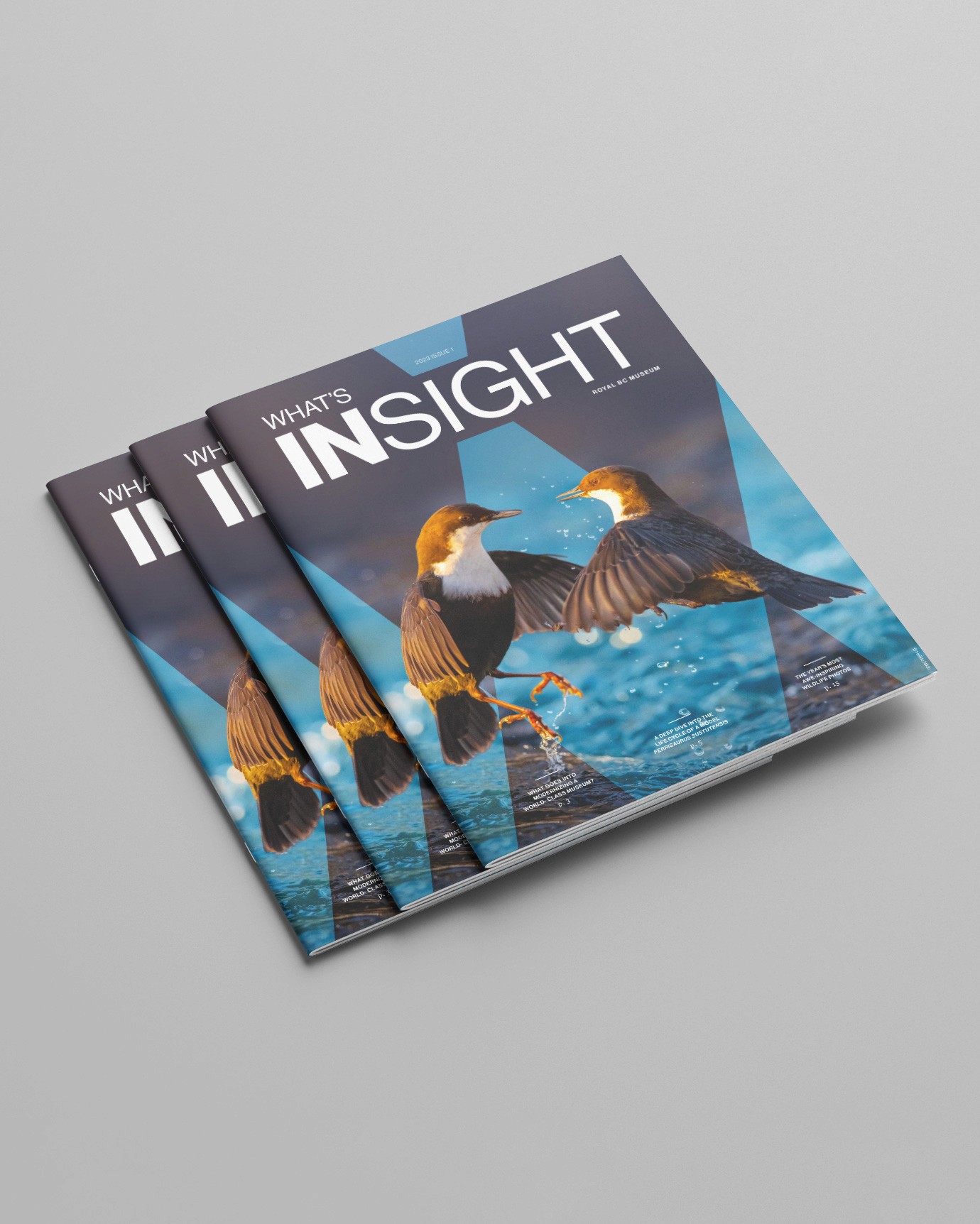 A stack of three magazines featuring the masthead What's Insight and an image of two birds on the cover