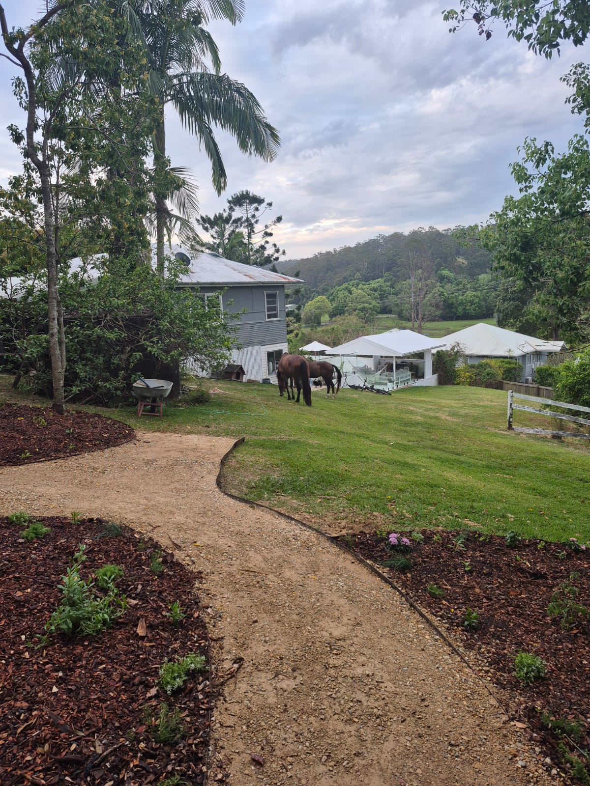 Pathway through garden leading to The Honey Homestead Pilates Studio surrounded by lush greenery.