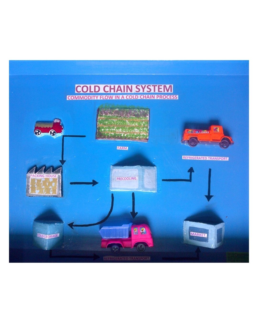 Cold Chain System