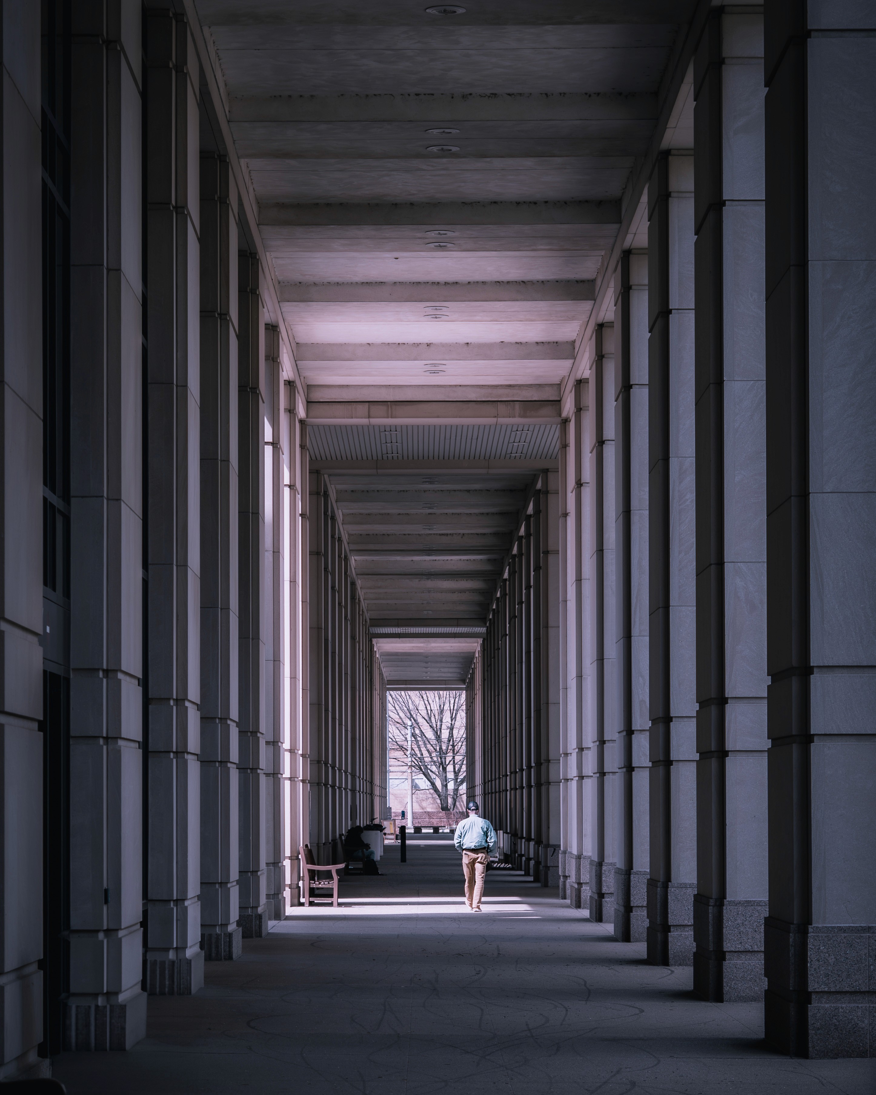 Service Photo Real Mehedi Free Framer Template Photography