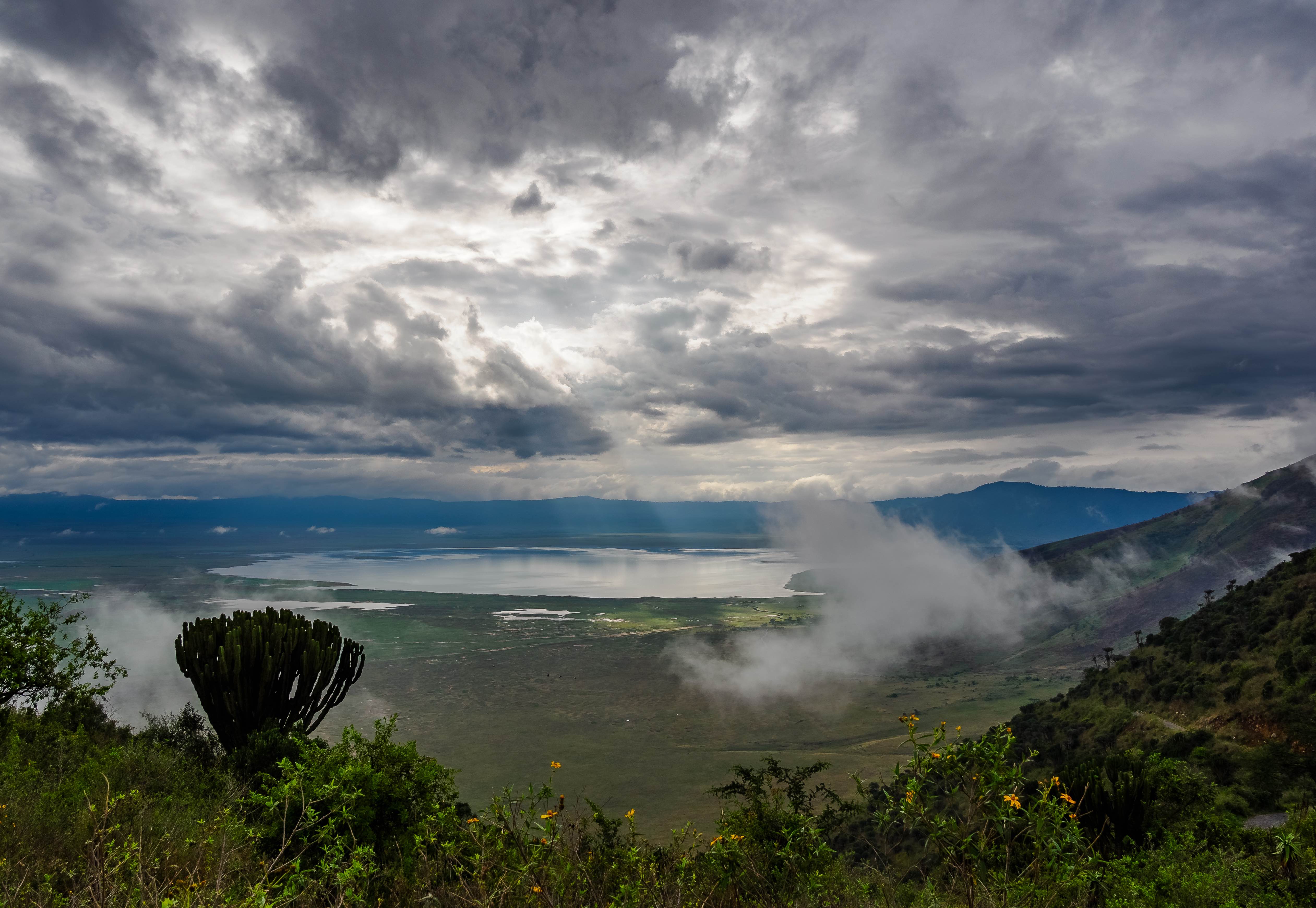 Panoramic view Ngorongoro Crater Tanzania