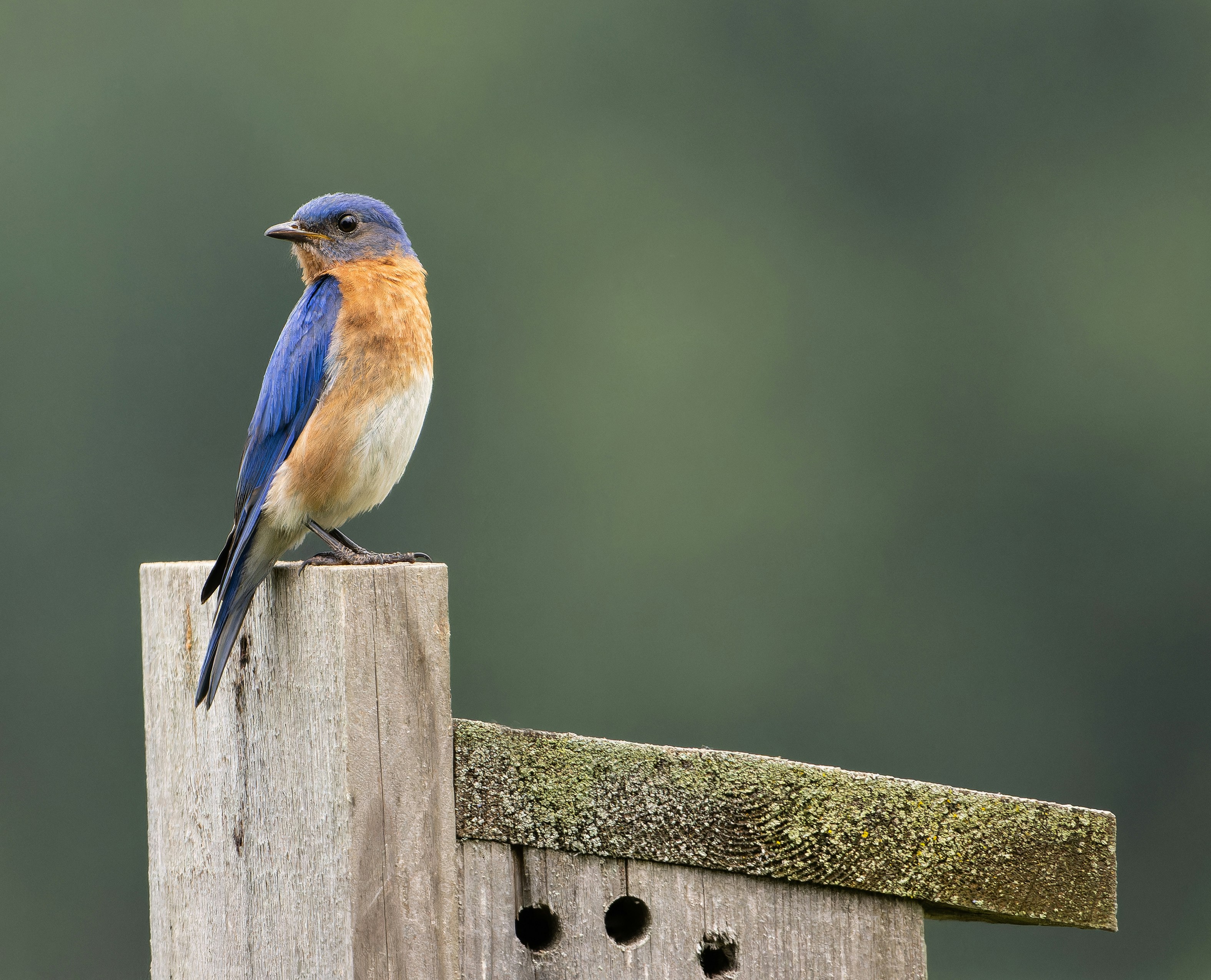 An office with people working