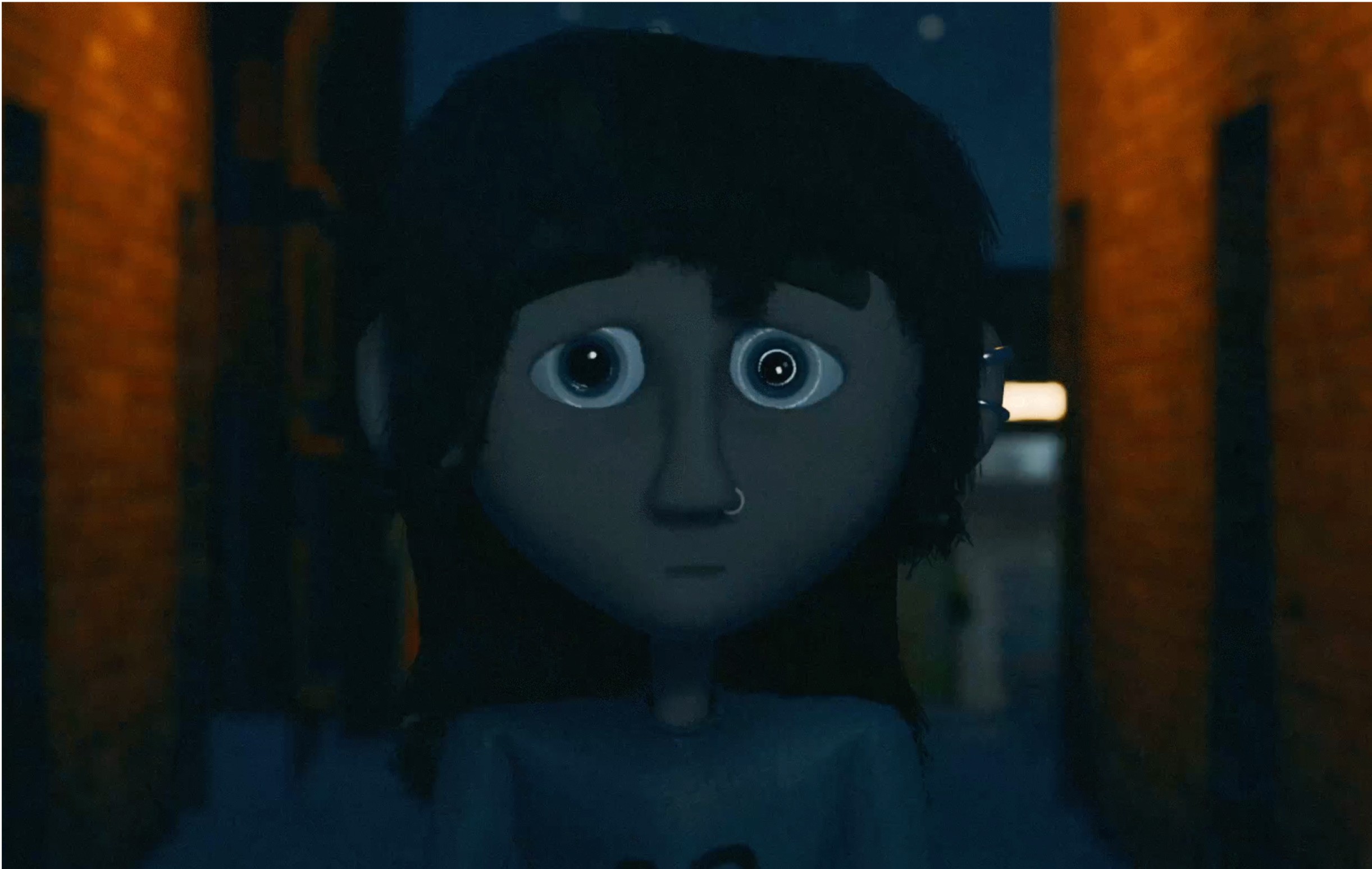 Still Image Video