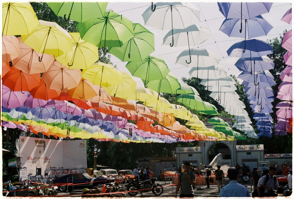 assorted-color umbrellas hanging on ties during daytime