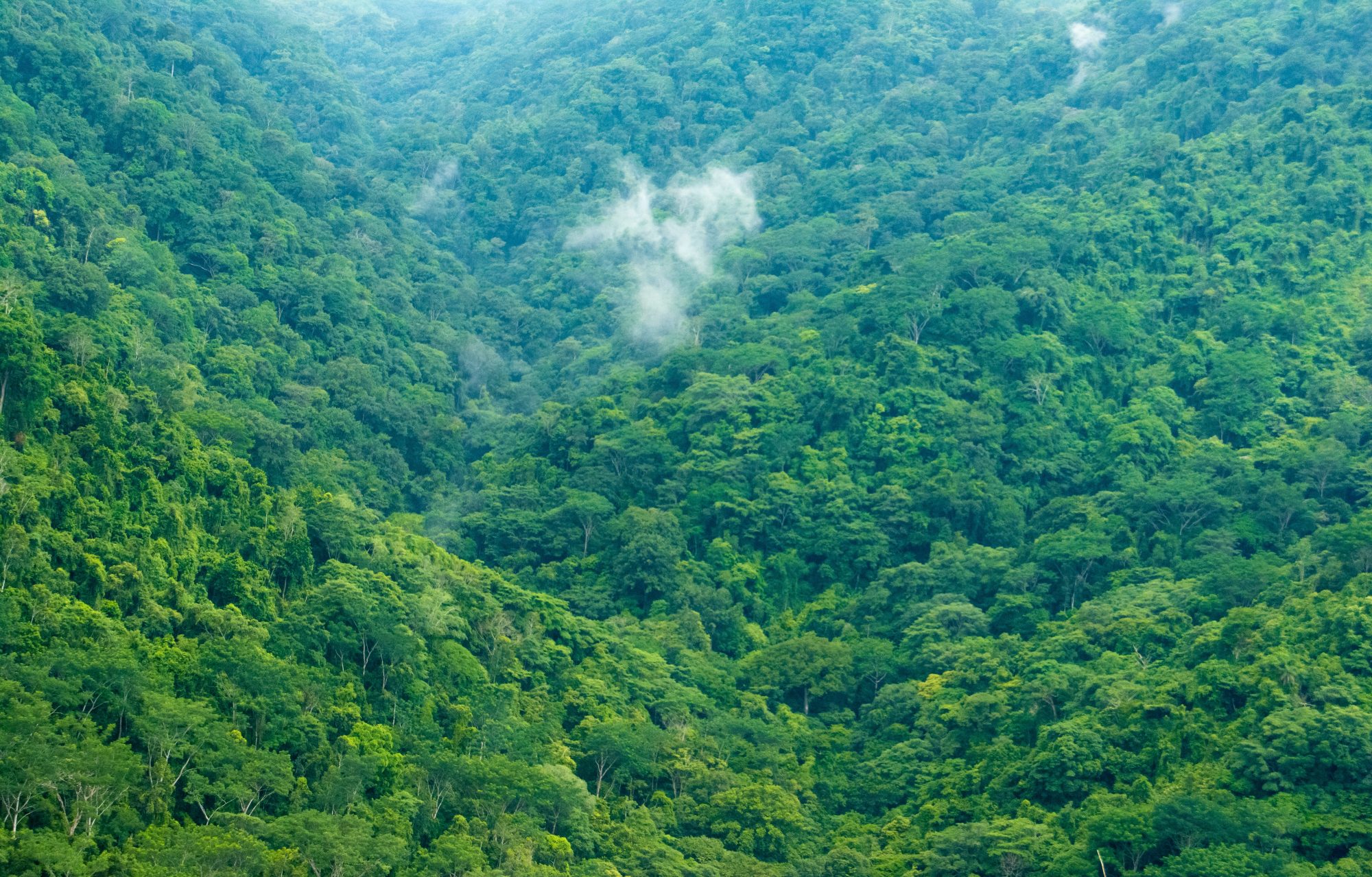 A lush green valley surrounded by mountains, with clouds partially obscuring the peaks in the background.