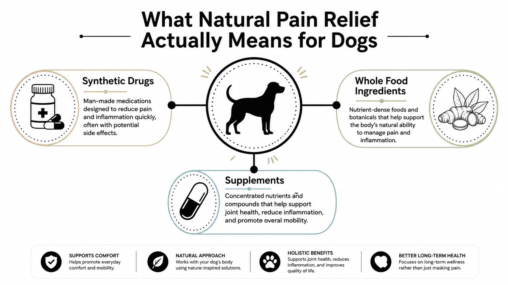 An infographic illustrating three approaches to dog pain relief: synthetic drugs, whole food ingredients, and natural supplements.