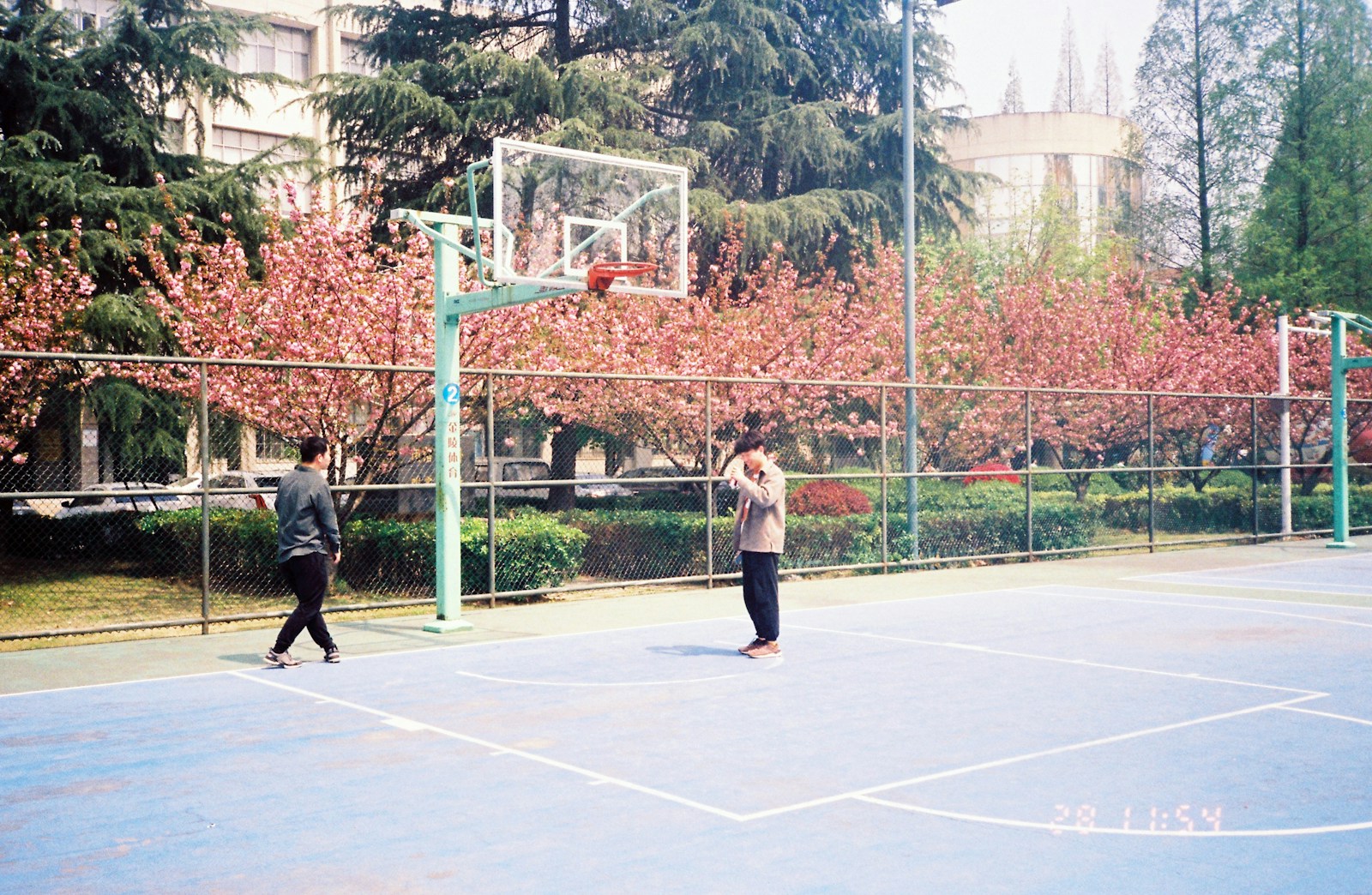 Açık sahada basketbol oynayan sporcular