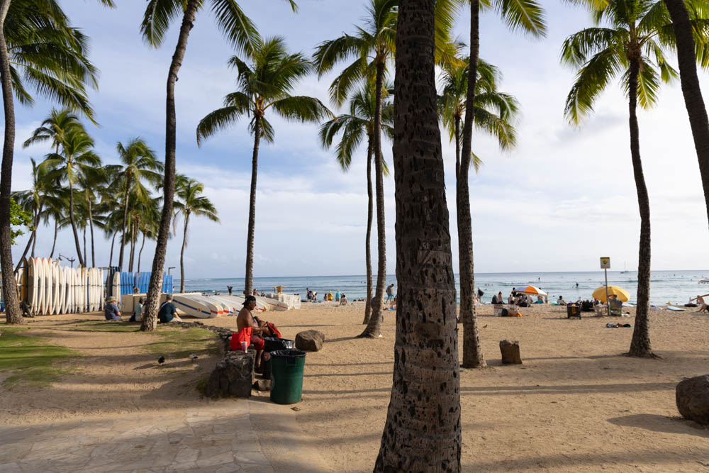 A wooden walkway leading to a body of water