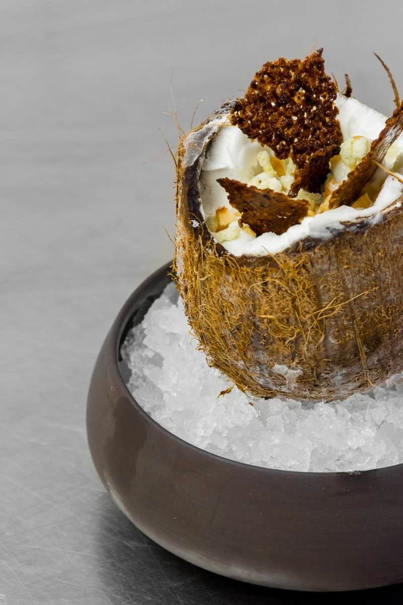 A tropical cocktail served in a hollowed coconut shell topped with white foam and a cluster of small red berries.