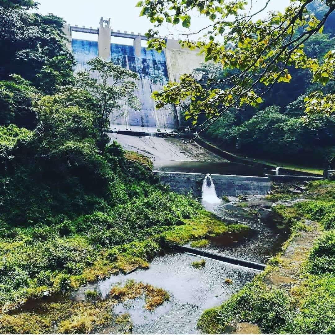 Lush green landscape surrounding Siruvani Dam, a scenic water reservoir nestled in the Western Ghats, with cascading water flowing downstream through a natural forest setting