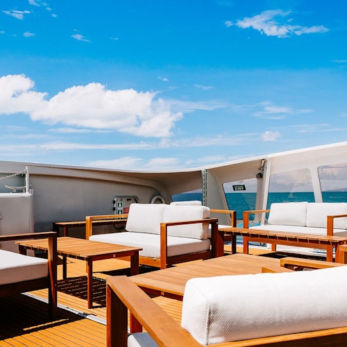 惠特桑迪群島：從艾爾利海灘出發的超級飛艇旅遊 + 可選的艾爾利海灘浮潛票