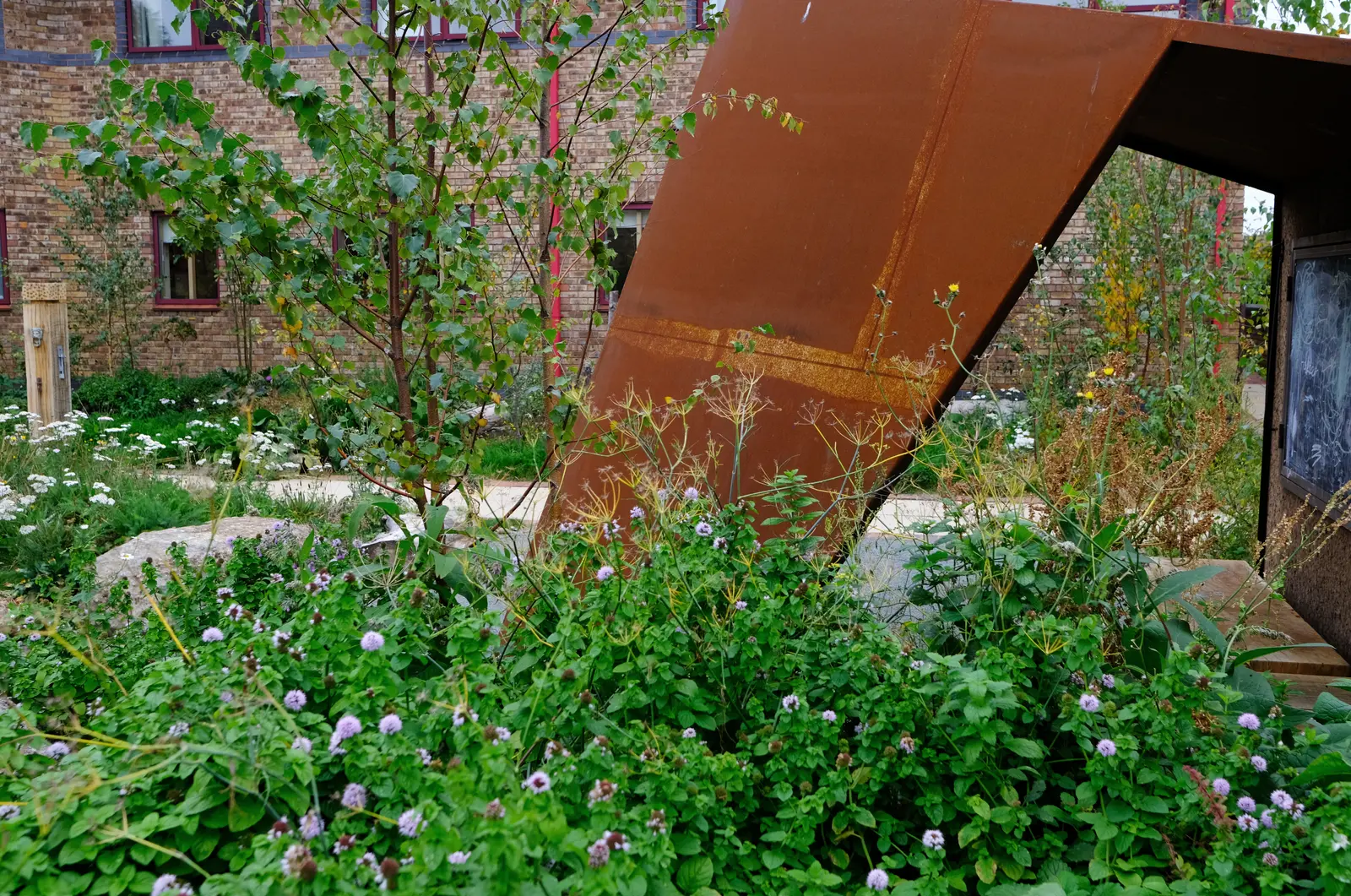 A garden scene featuring lush green plants with a rusted metal structure in the background. Natural light enhances the greenery.