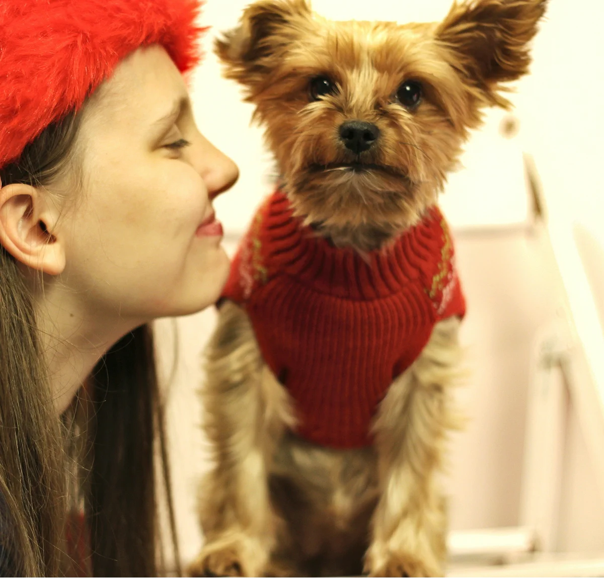 Woman kissing a small dog in a red sweater