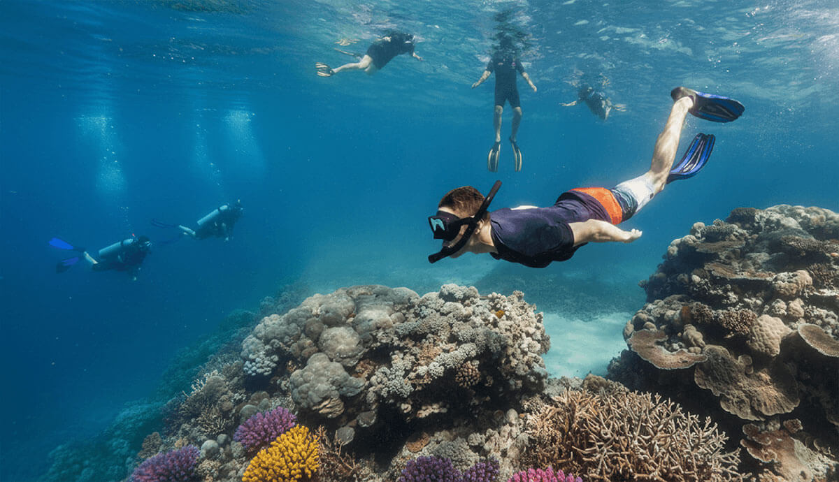 Snorkelers and divers explore vibrant coral reefs and marine life in clear blue waters, perfect for Fiji adventures.