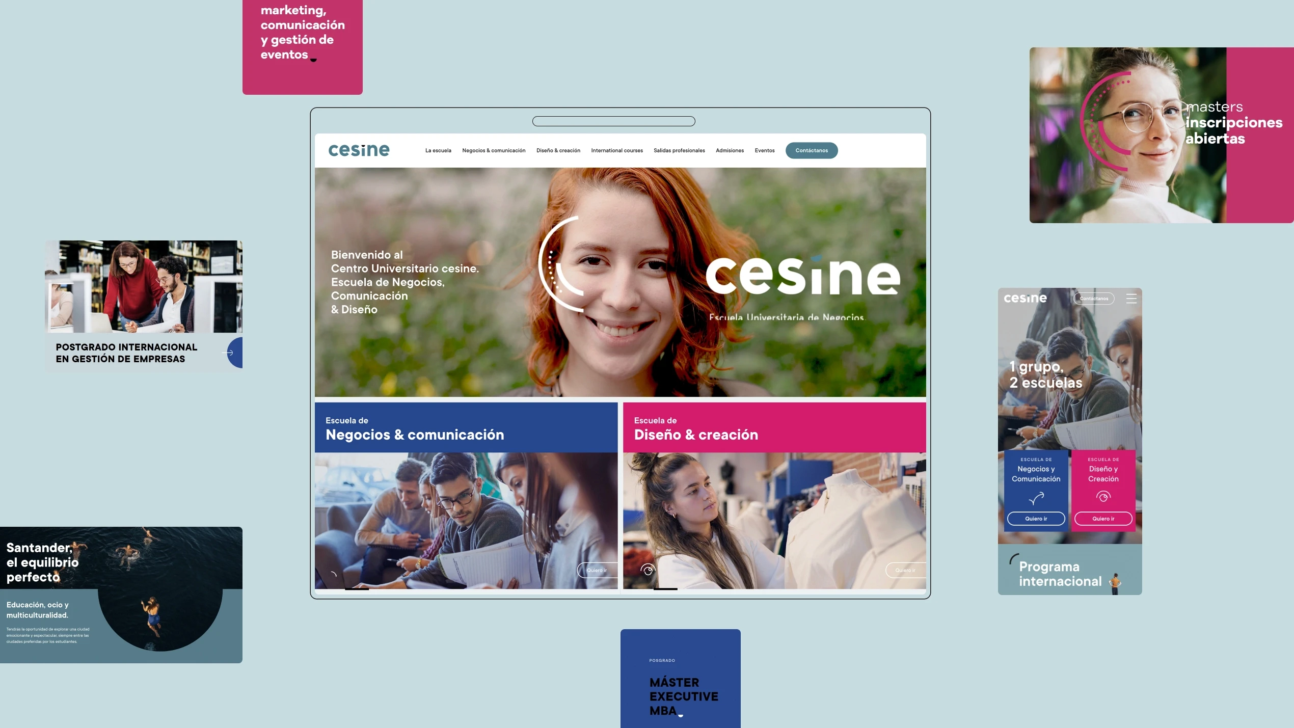Cesine identidad visual