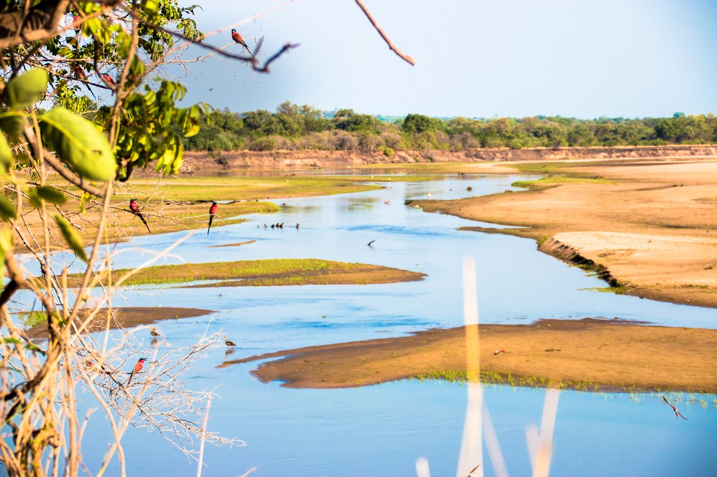 A person wearing headphones sits at a desk with a large curved monitor displaying graphic design software, surrounded by a laptop, smartphone, and potted plant, creating a modern workspace setup.