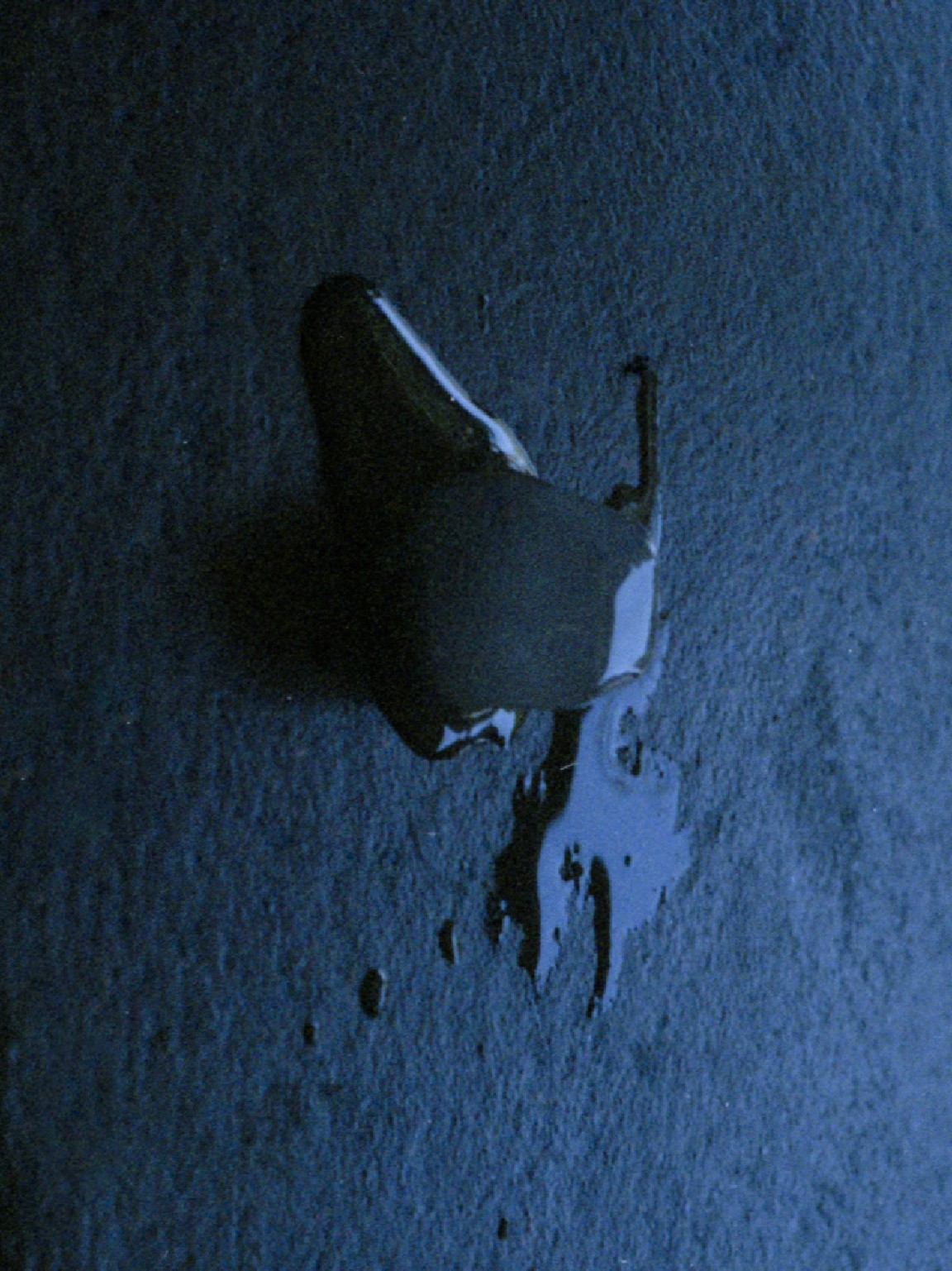 "Melting ice on a dark stone"