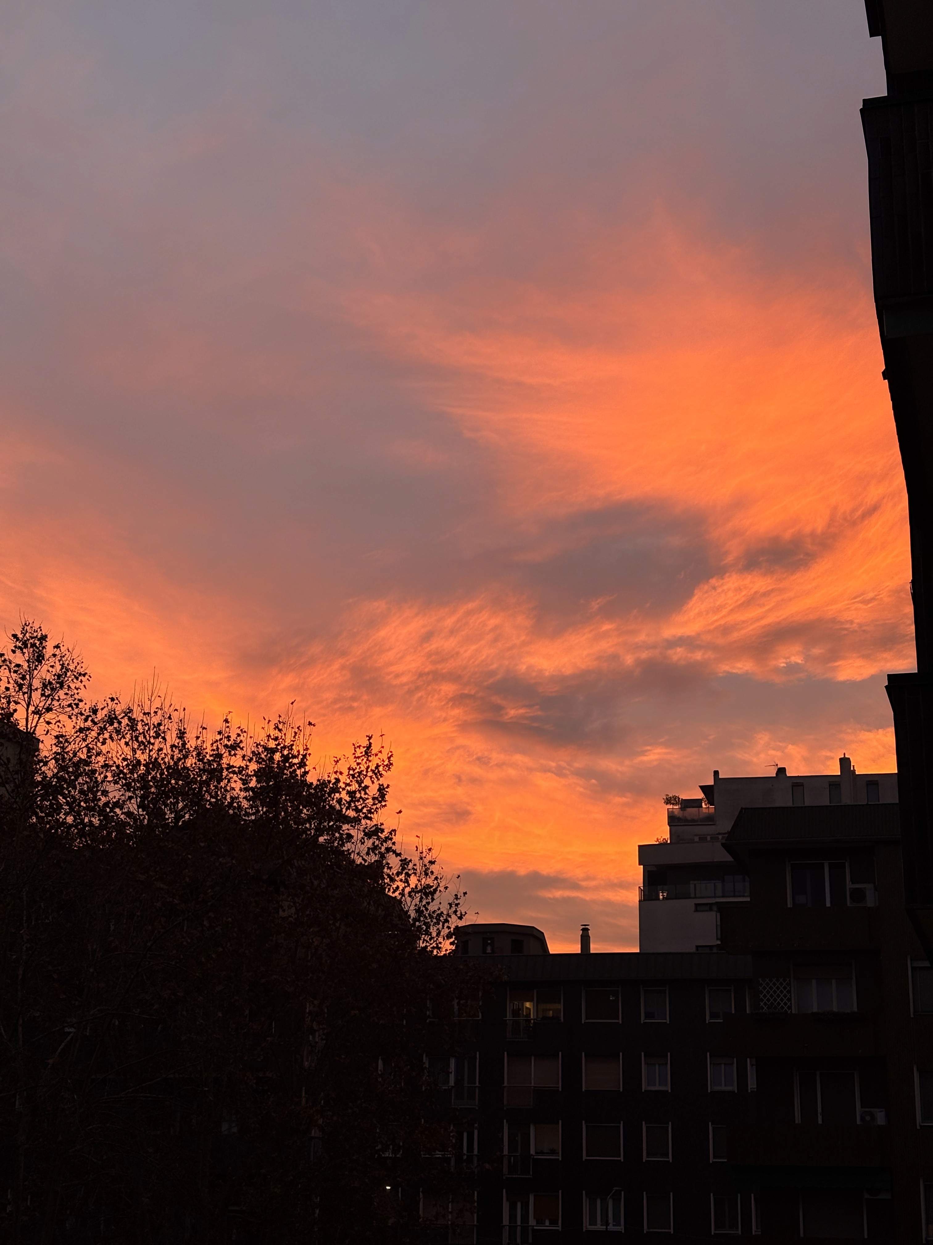 Close-up of a yellow tennis ball sitting on a green court, positioned near the white center line.