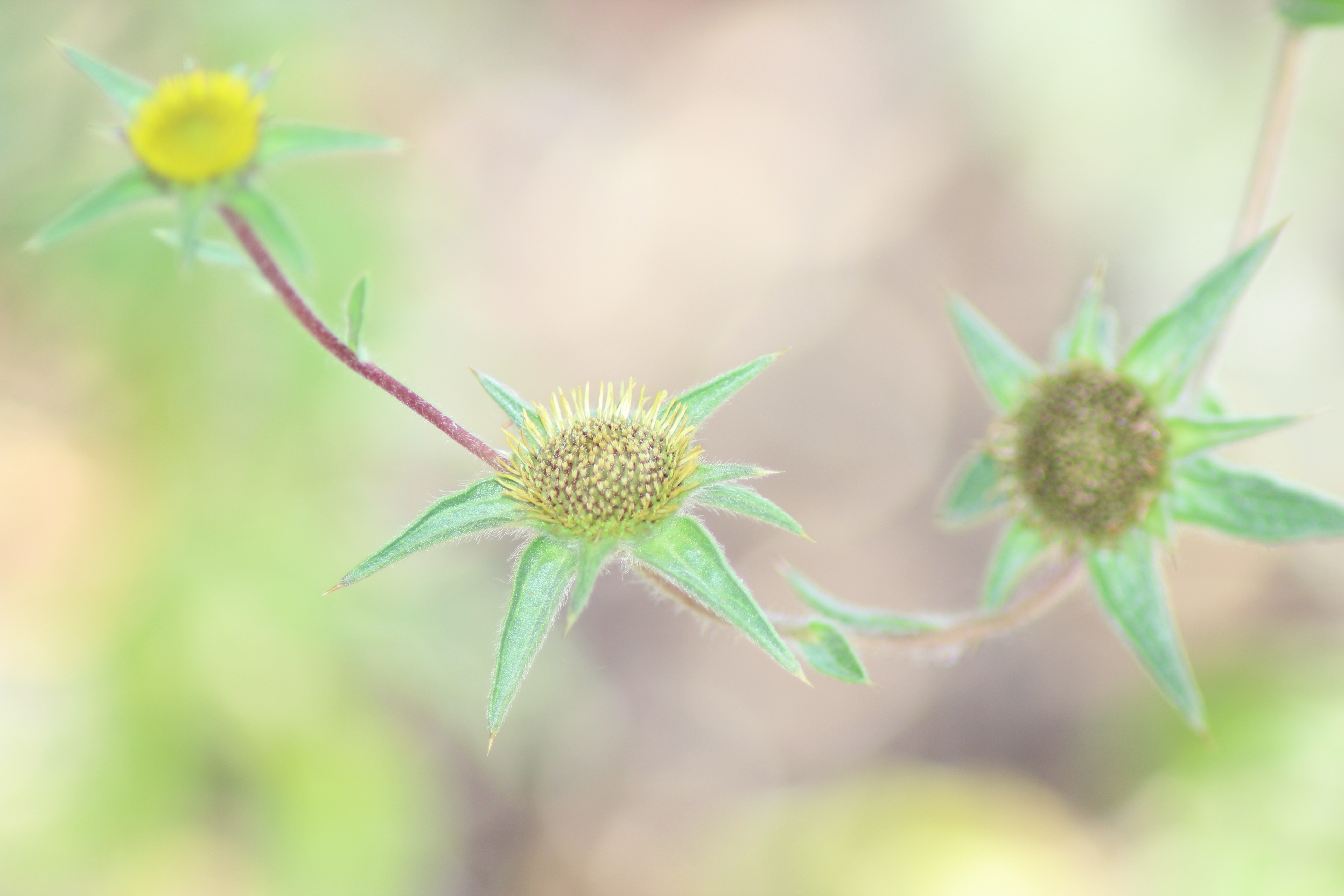 blue sky and white clouds over the sea