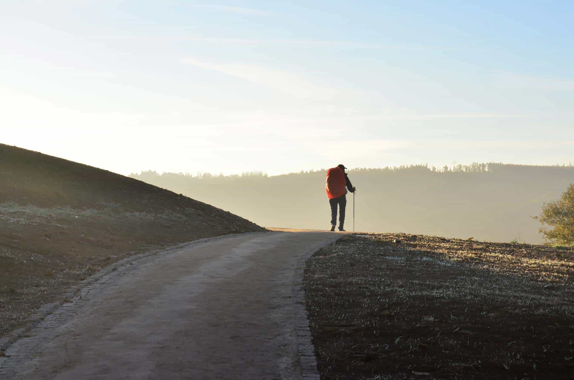 A solitary figure walks along a winding path with gentle hills under a clear sky at sunset.