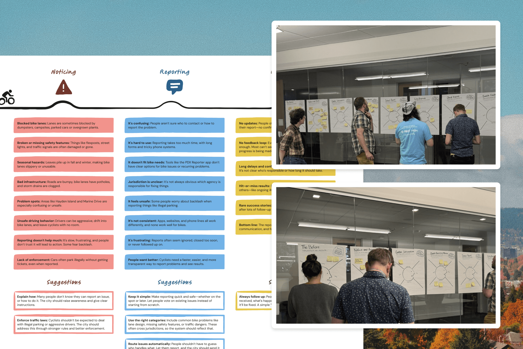 trees on forest with sun rays